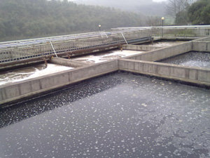 四川省惠通食業(yè)有限責任公司食品廢水處理工程